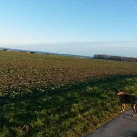 Hundeurlaub Beim Klaus Auf Usedom Apartament Stolpe auf Usedom